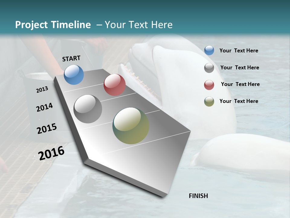 Fish Park Animals PowerPoint Template