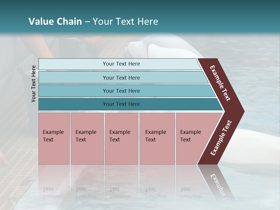 Fish Park Animals PowerPoint Template