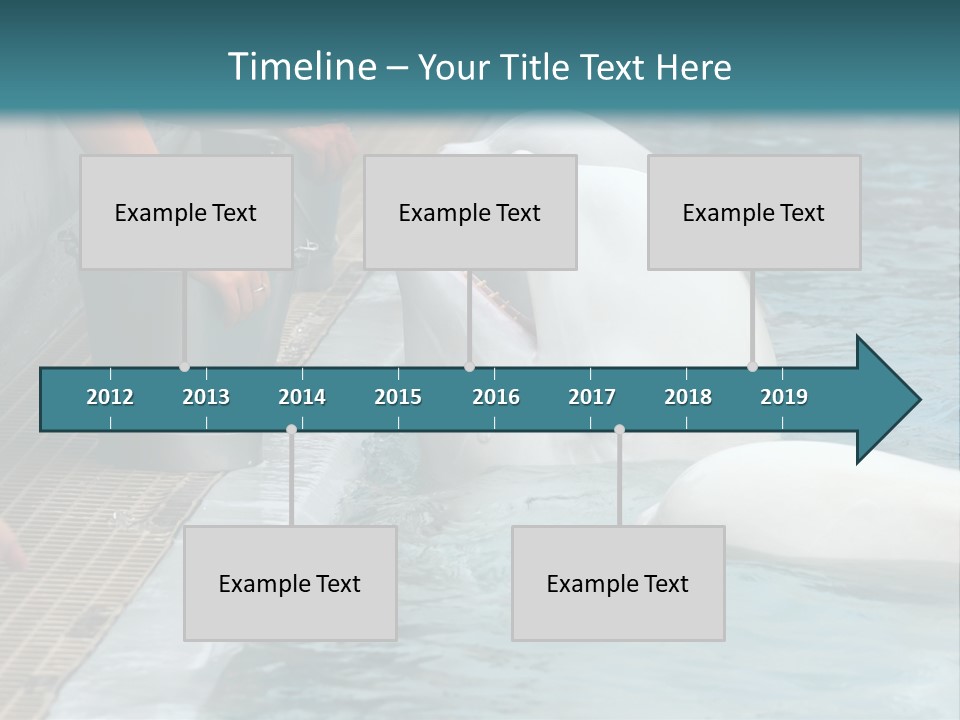 Fish Park Animals PowerPoint Template