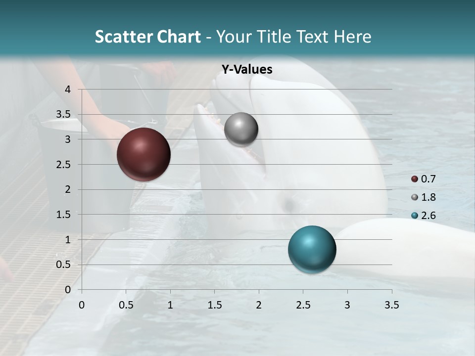 Fish Park Animals PowerPoint Template