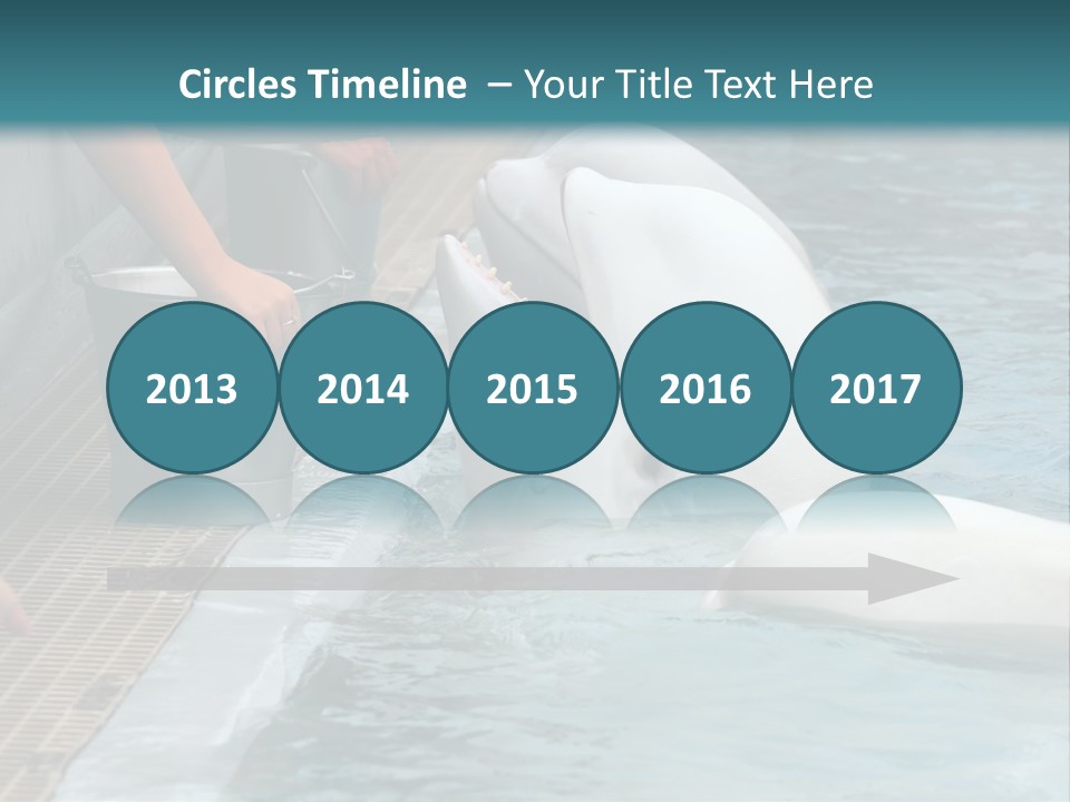 Fish Park Animals PowerPoint Template