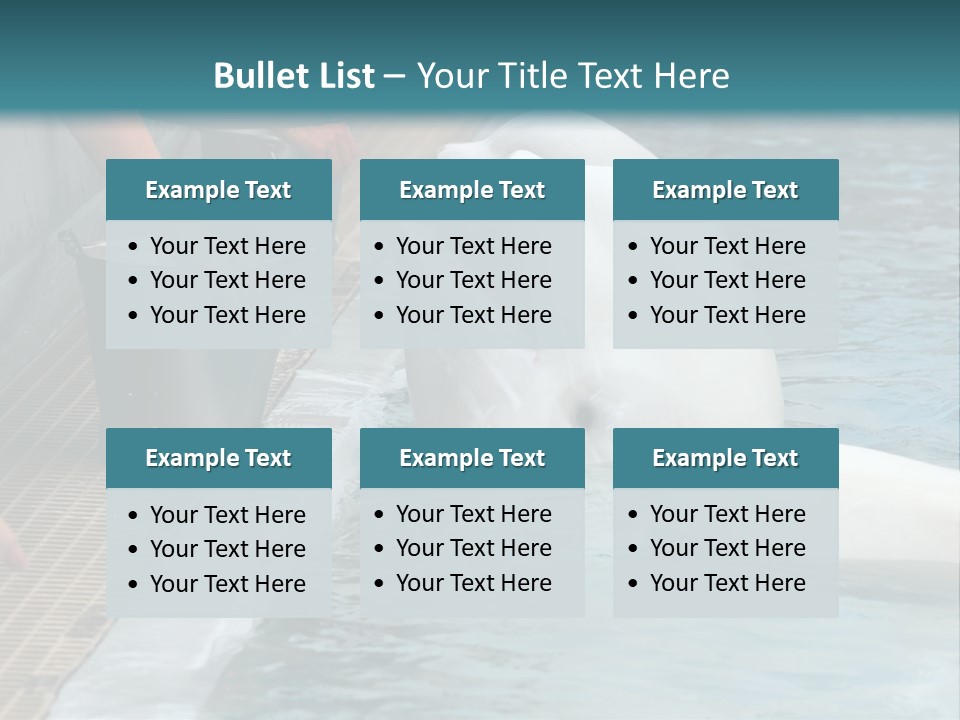 Fish Park Animals PowerPoint Template