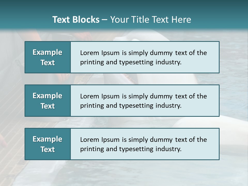 Fish Park Animals PowerPoint Template