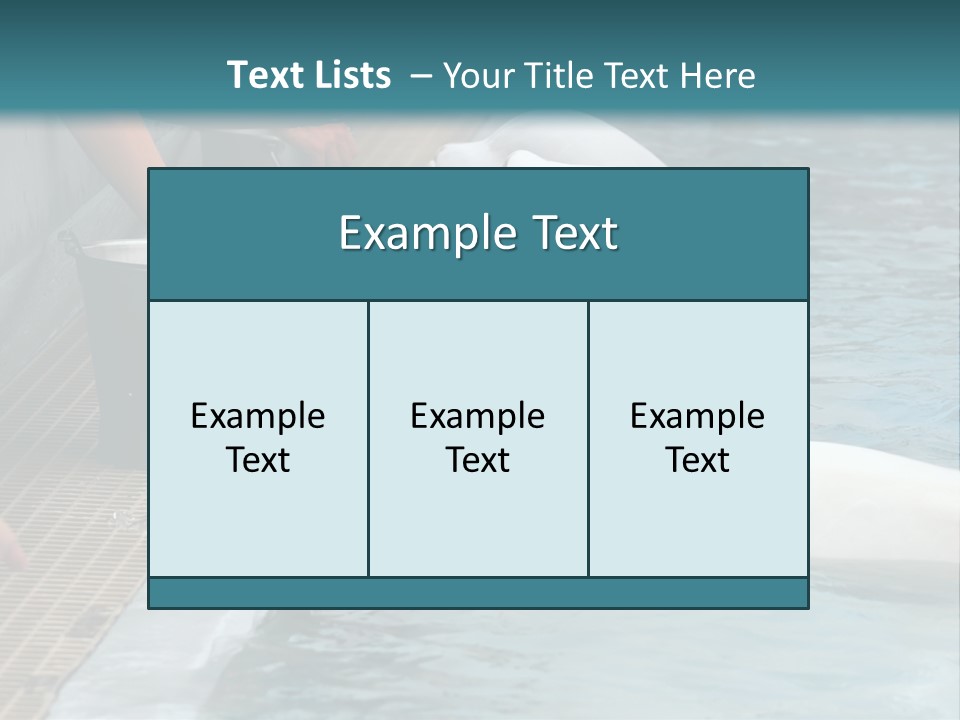 Fish Park Animals PowerPoint Template