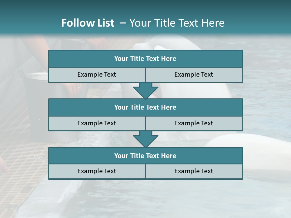 Fish Park Animals PowerPoint Template