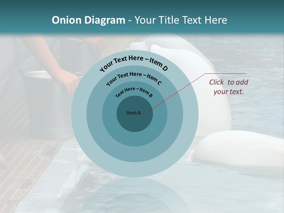 Fish Park Animals PowerPoint Template