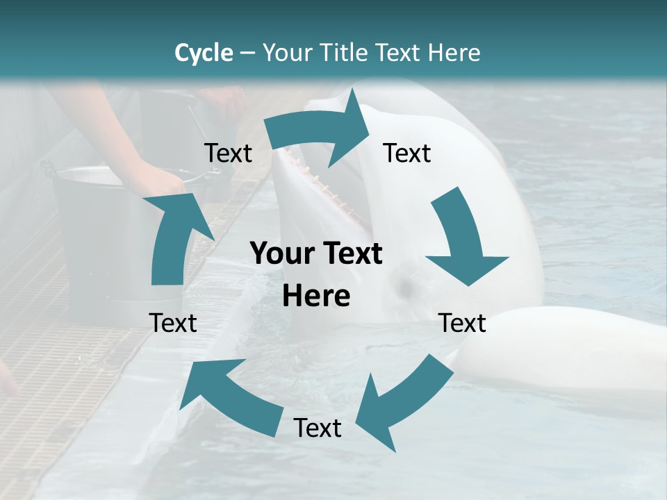 Fish Park Animals PowerPoint Template