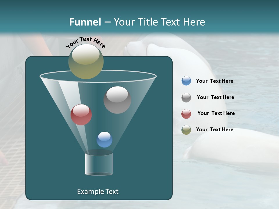 Fish Park Animals PowerPoint Template