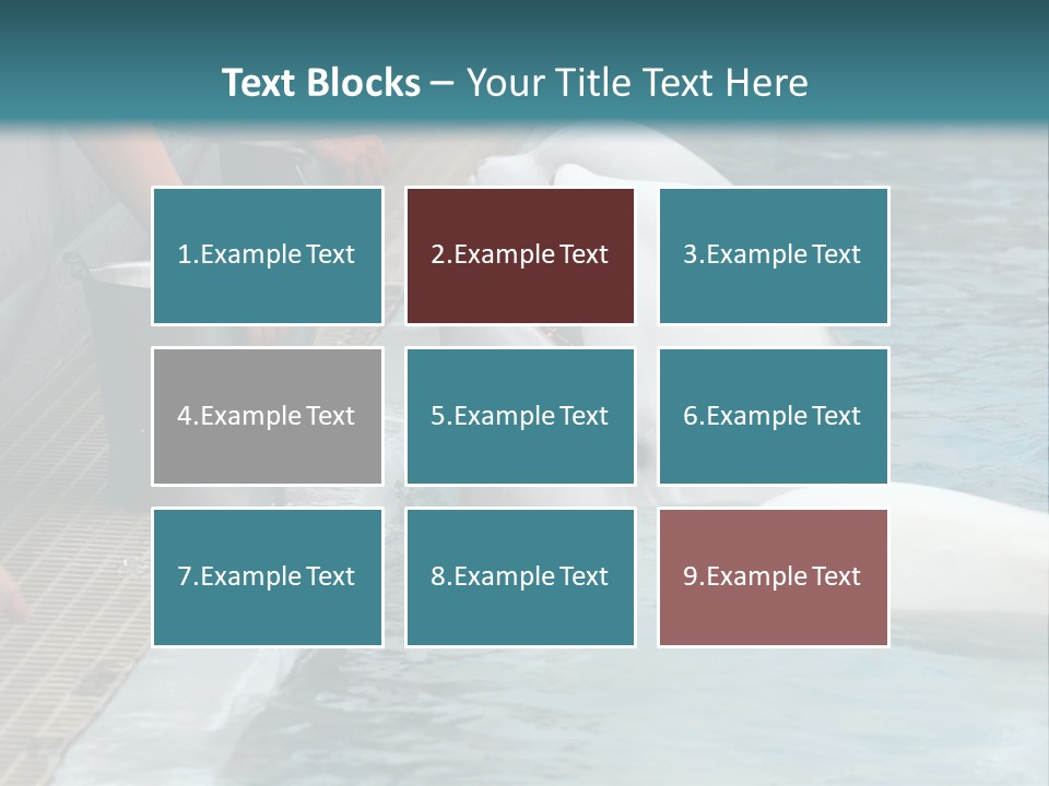 Fish Park Animals PowerPoint Template