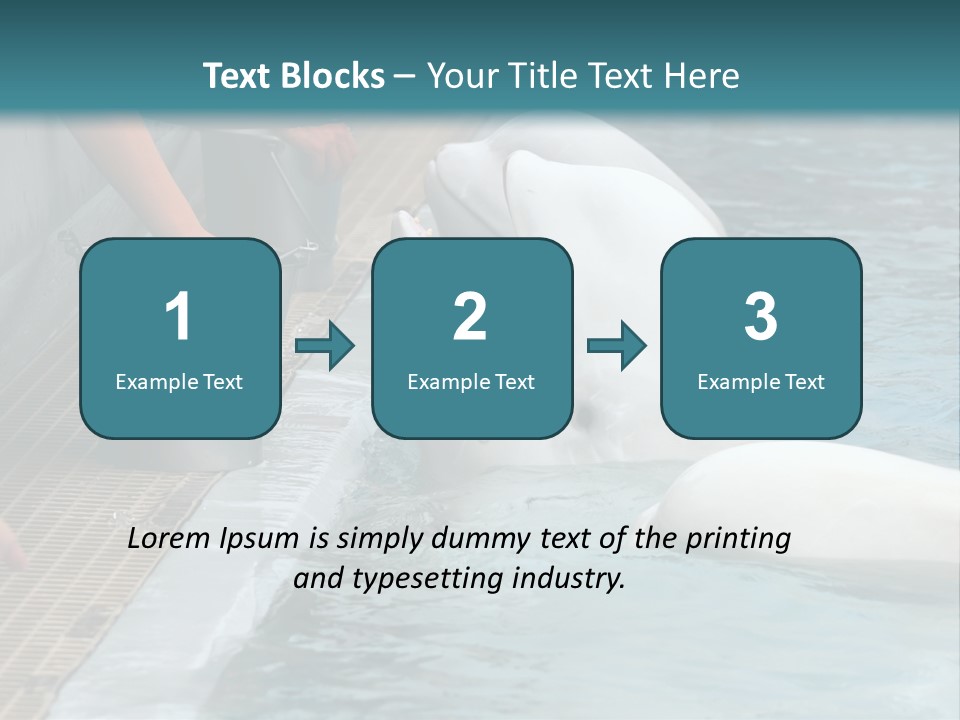 Fish Park Animals PowerPoint Template