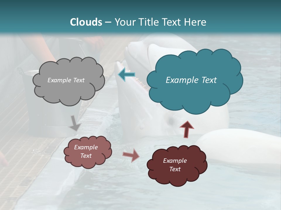 Fish Park Animals PowerPoint Template