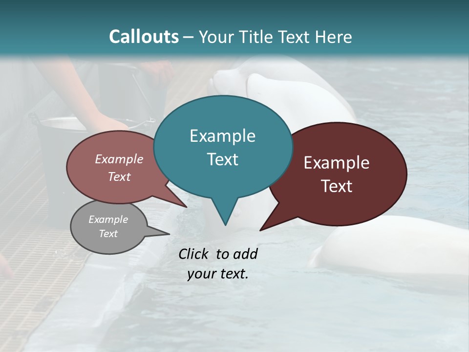 Fish Park Animals PowerPoint Template