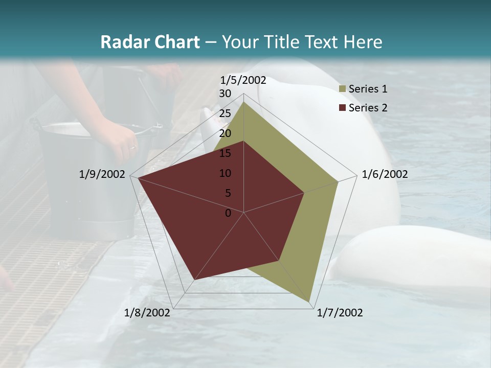 Fish Park Animals PowerPoint Template