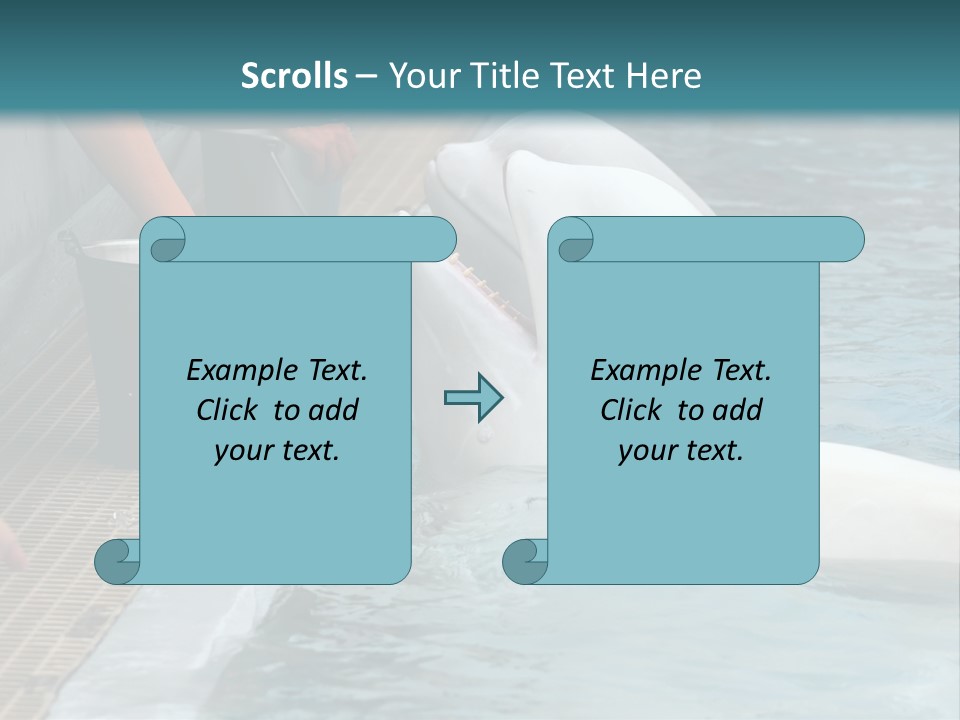 Fish Park Animals PowerPoint Template