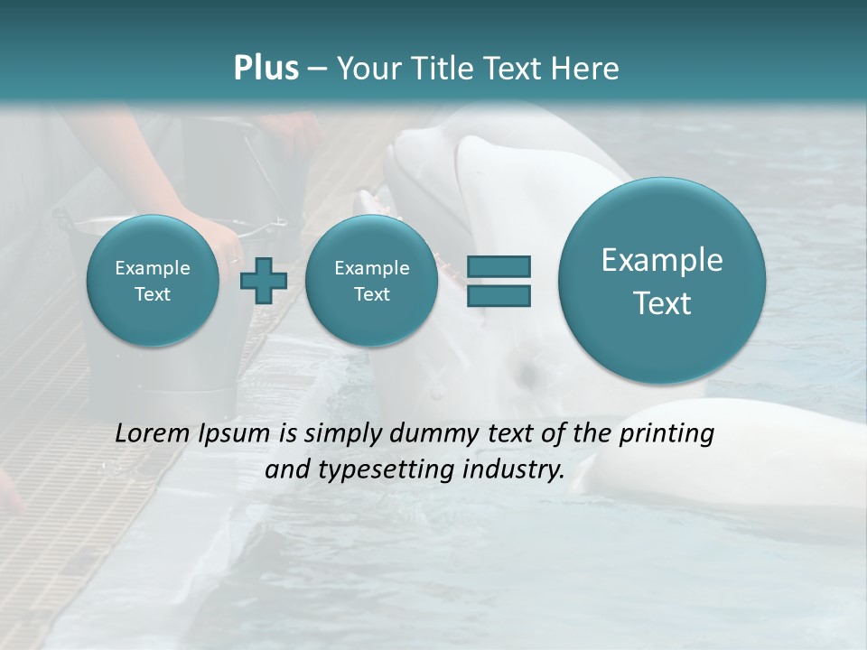 Fish Park Animals PowerPoint Template