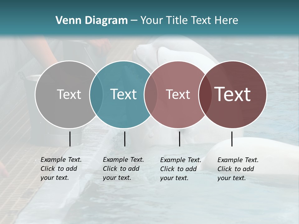 Fish Park Animals PowerPoint Template