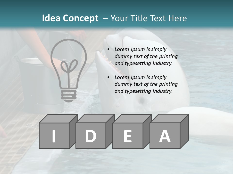 Fish Park Animals PowerPoint Template