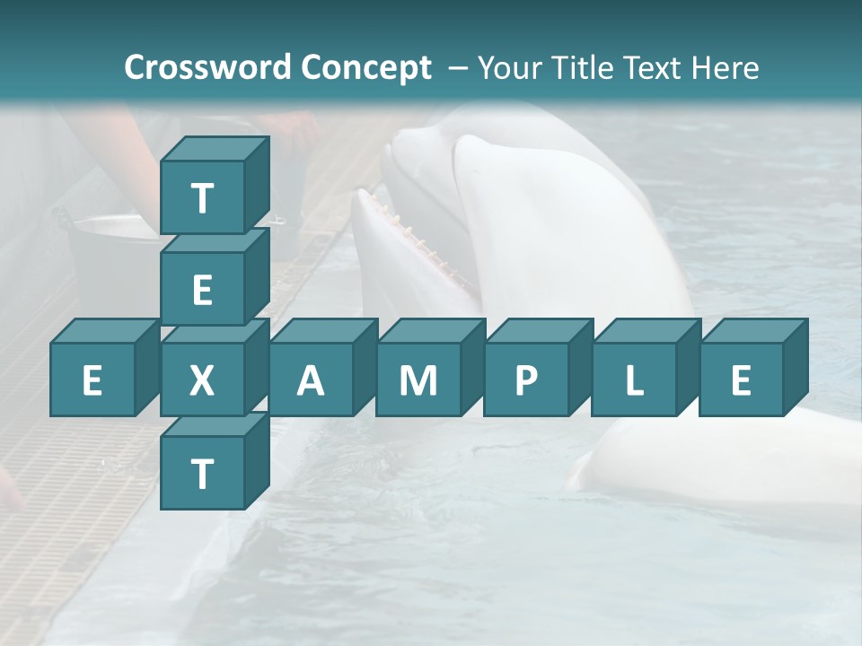 Fish Park Animals PowerPoint Template