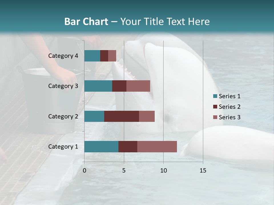 Fish Park Animals PowerPoint Template