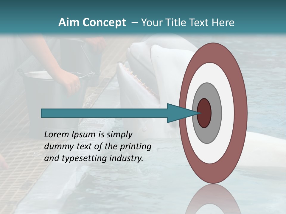 Fish Park Animals PowerPoint Template