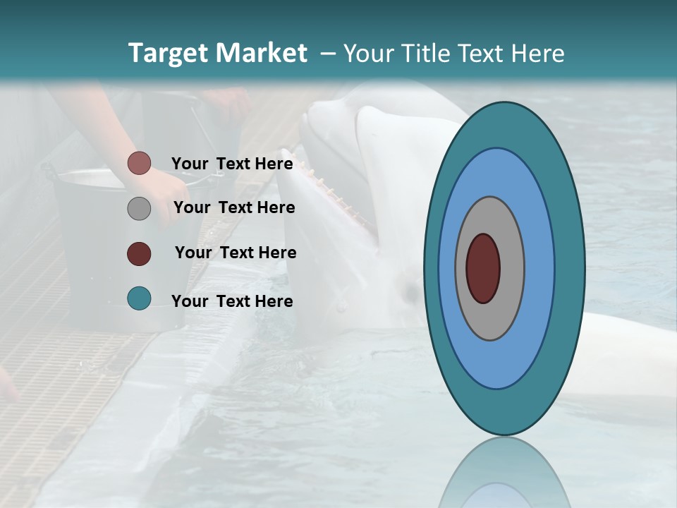 Fish Park Animals PowerPoint Template