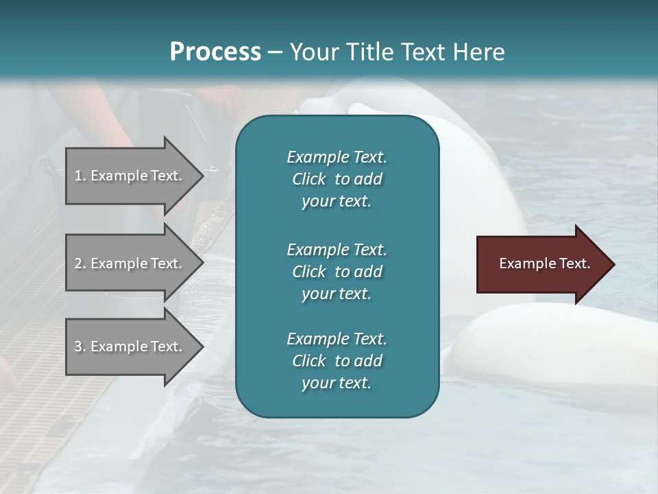 Fish Park Animals PowerPoint Template