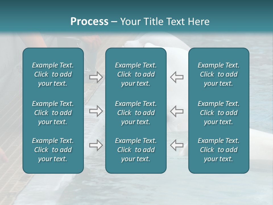 Fish Park Animals PowerPoint Template