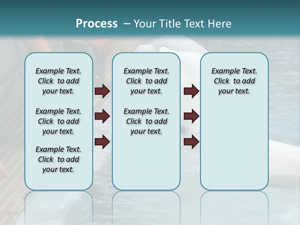 Fish Park Animals PowerPoint Template
