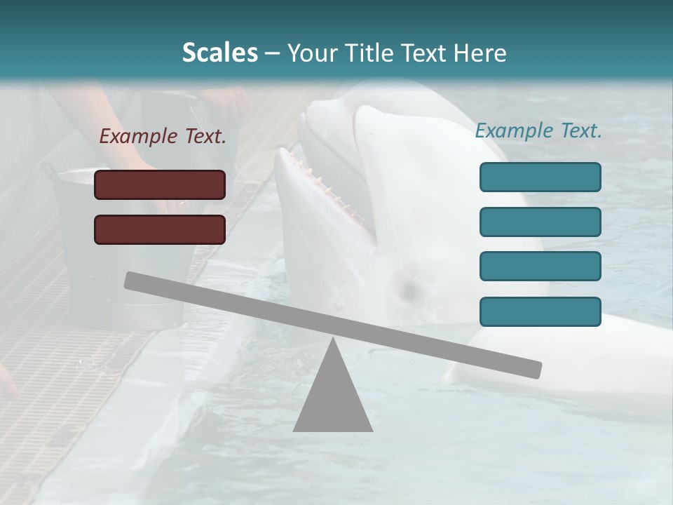 Fish Park Animals PowerPoint Template