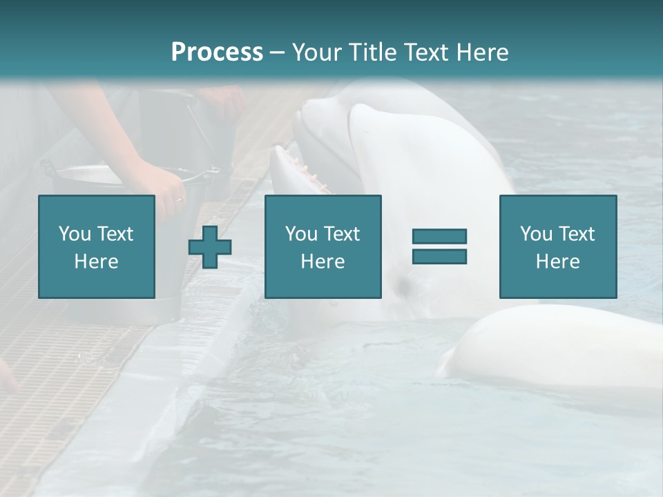 Fish Park Animals PowerPoint Template