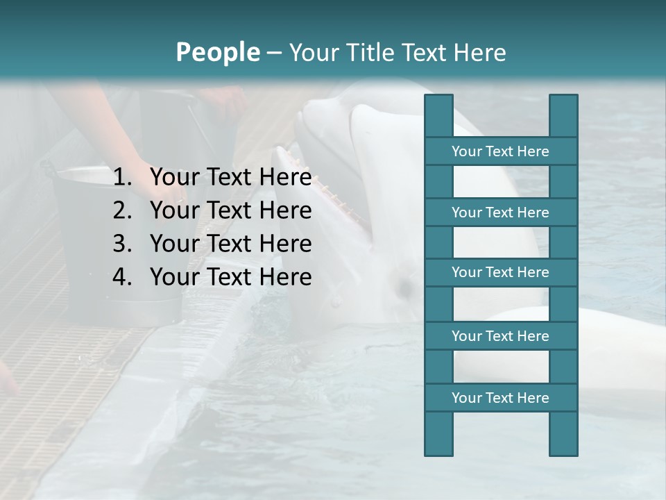 Fish Park Animals PowerPoint Template