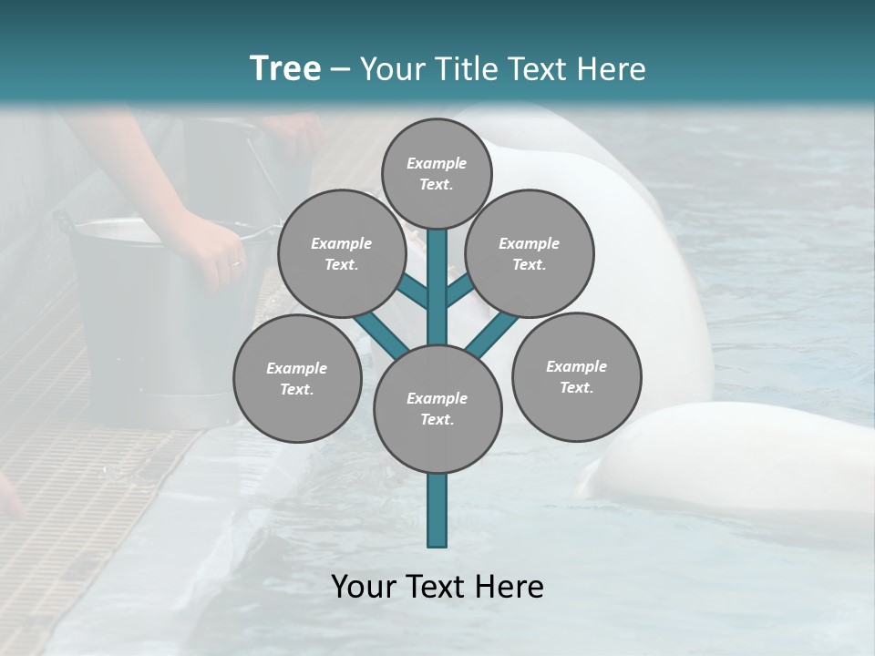 Fish Park Animals PowerPoint Template