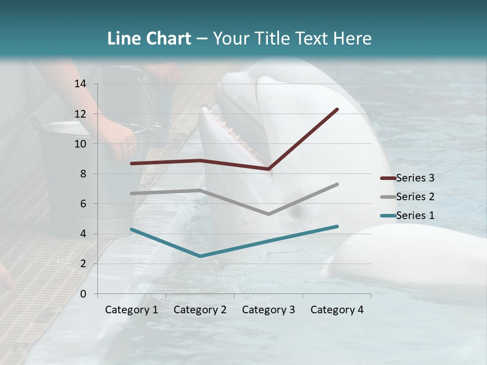 Fish Park Animals PowerPoint Template