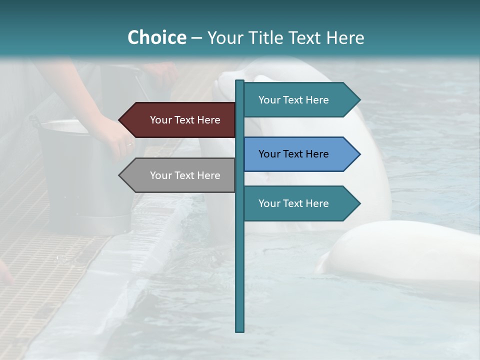 Fish Park Animals PowerPoint Template