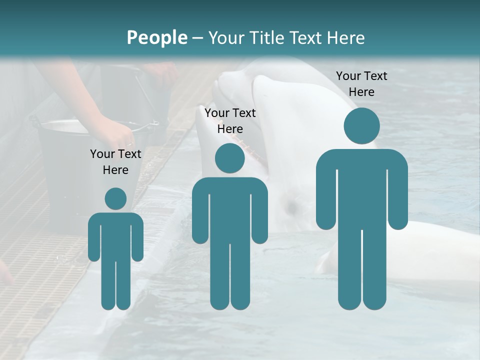 Fish Park Animals PowerPoint Template