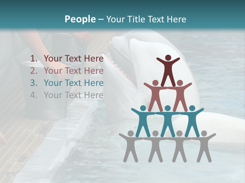 Fish Park Animals PowerPoint Template