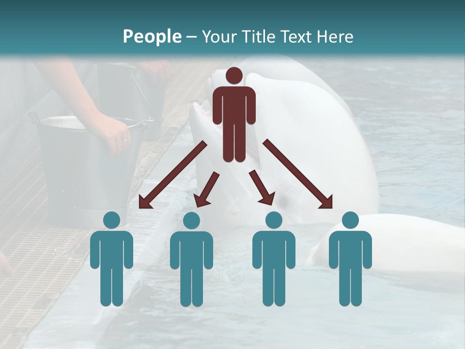 Fish Park Animals PowerPoint Template