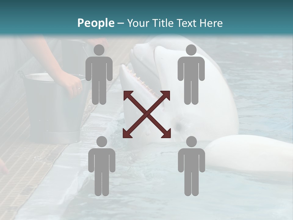 Fish Park Animals PowerPoint Template