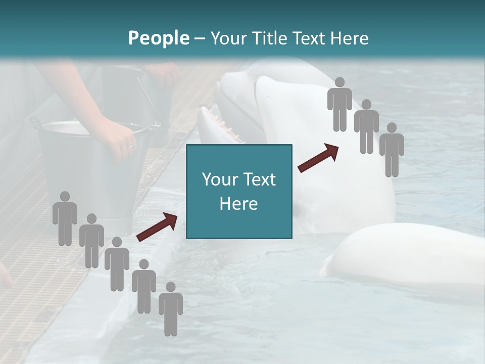 Fish Park Animals PowerPoint Template