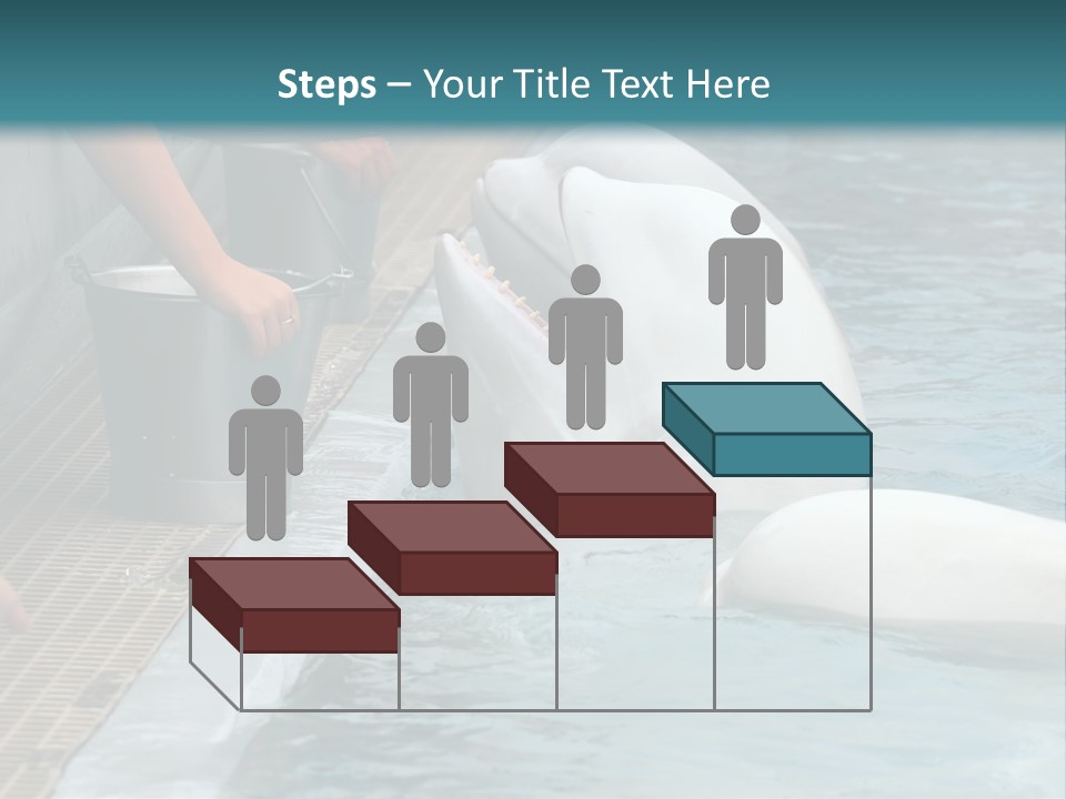 Fish Park Animals PowerPoint Template