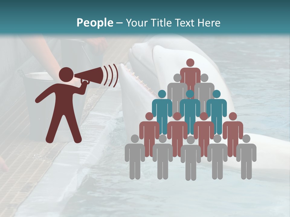 Fish Park Animals PowerPoint Template