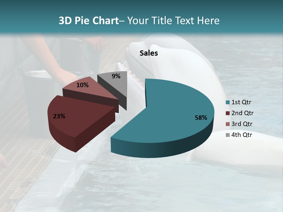 Fish Park Animals PowerPoint Template
