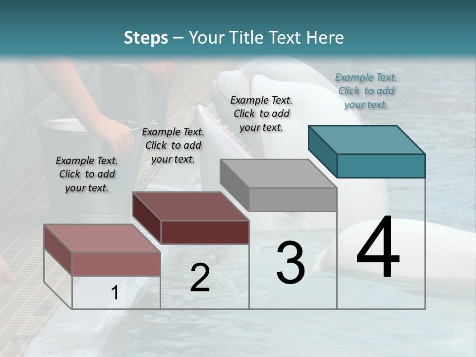 Fish Park Animals PowerPoint Template