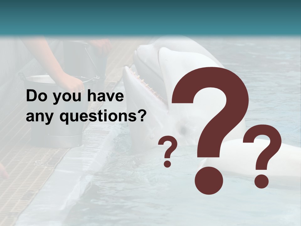 Fish Park Animals PowerPoint Template