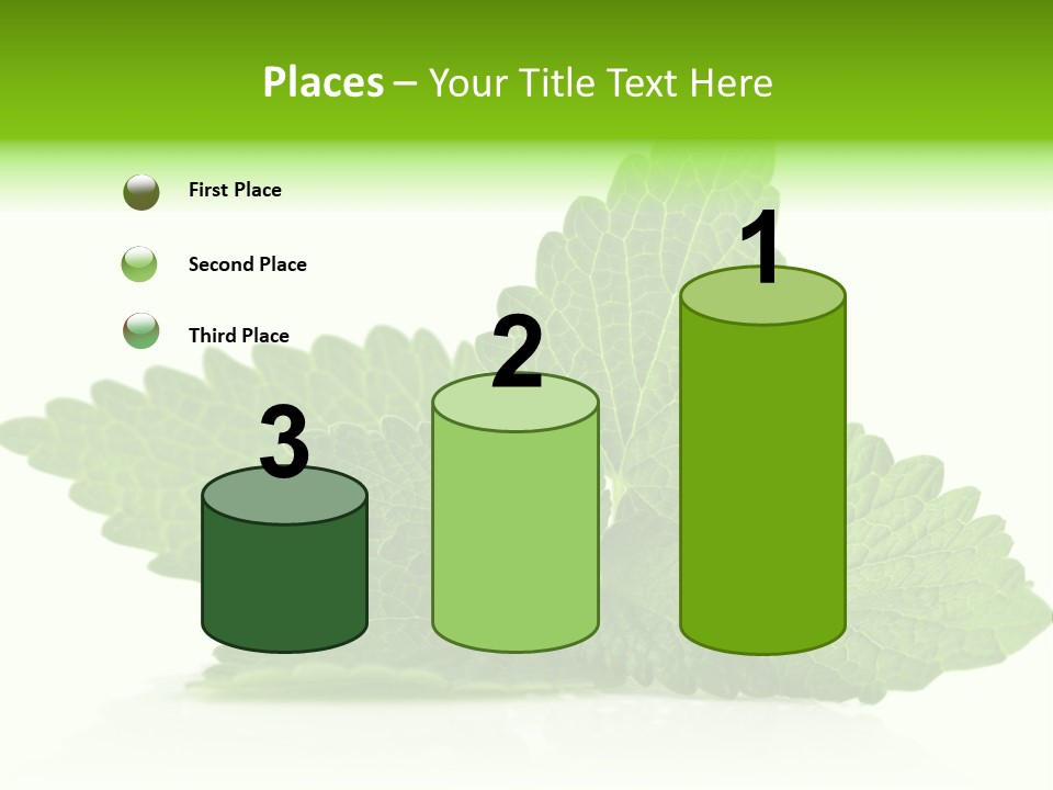 Melissa Leaf PowerPoint Template