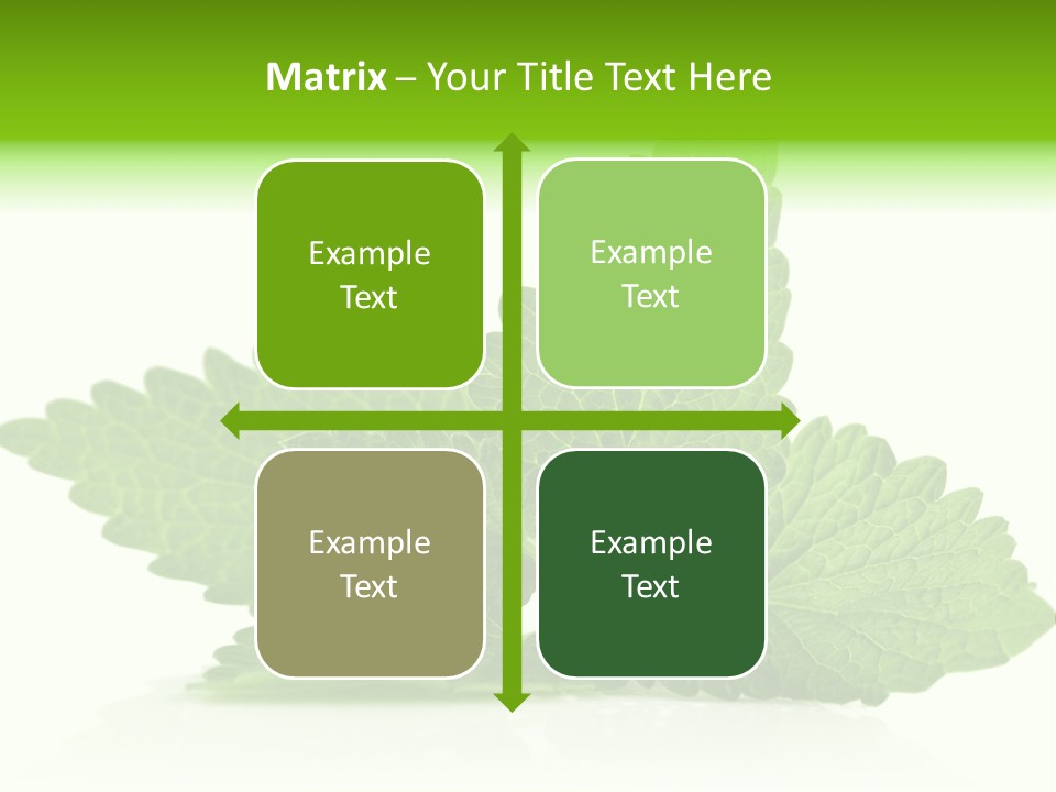 Melissa Leaf PowerPoint Template