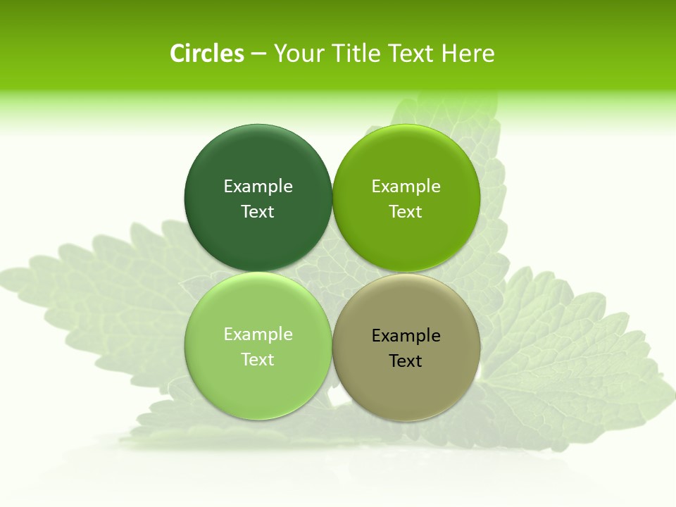 Melissa Leaf PowerPoint Template