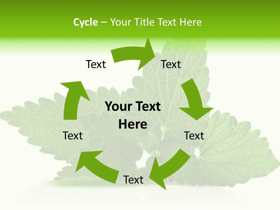 Melissa Leaf PowerPoint Template