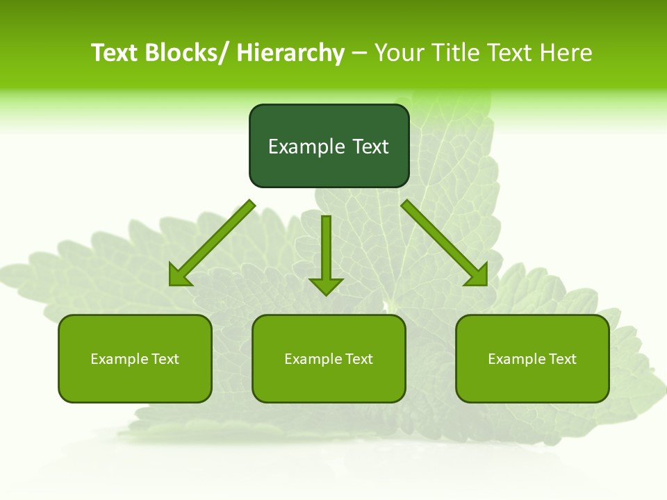 Melissa Leaf PowerPoint Template