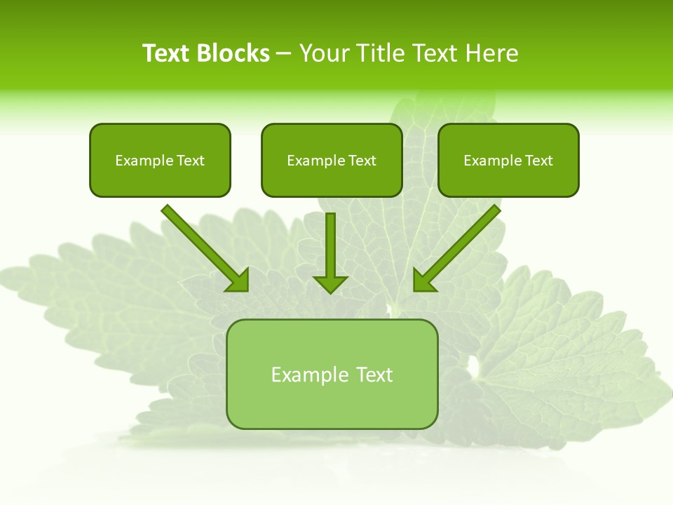 Melissa Leaf PowerPoint Template